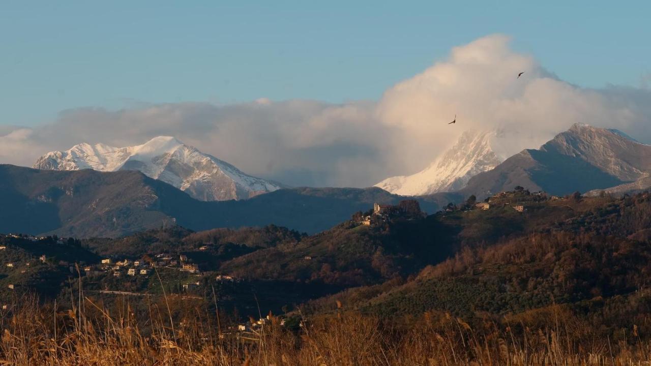 Massaciuccoli Romana ภายนอก รูปภาพ
