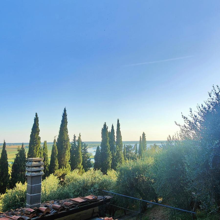 Massaciuccoli Romana ภายนอก รูปภาพ