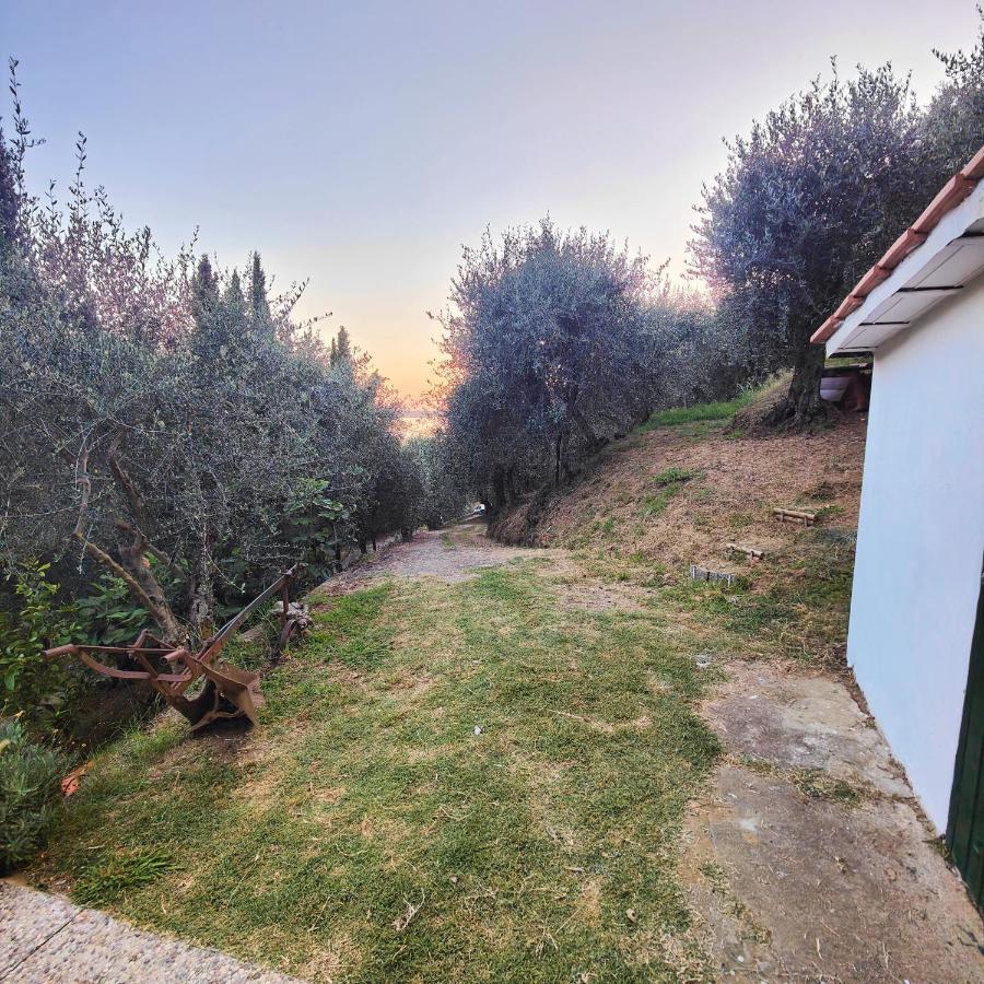 Massaciuccoli Romana ภายนอก รูปภาพ