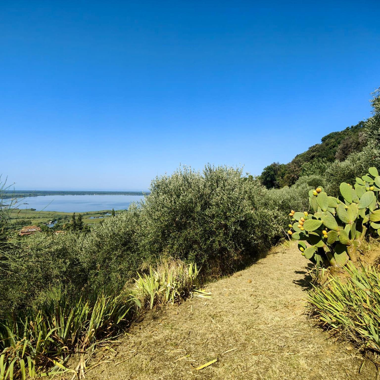 Massaciuccoli Romana ภายนอก รูปภาพ