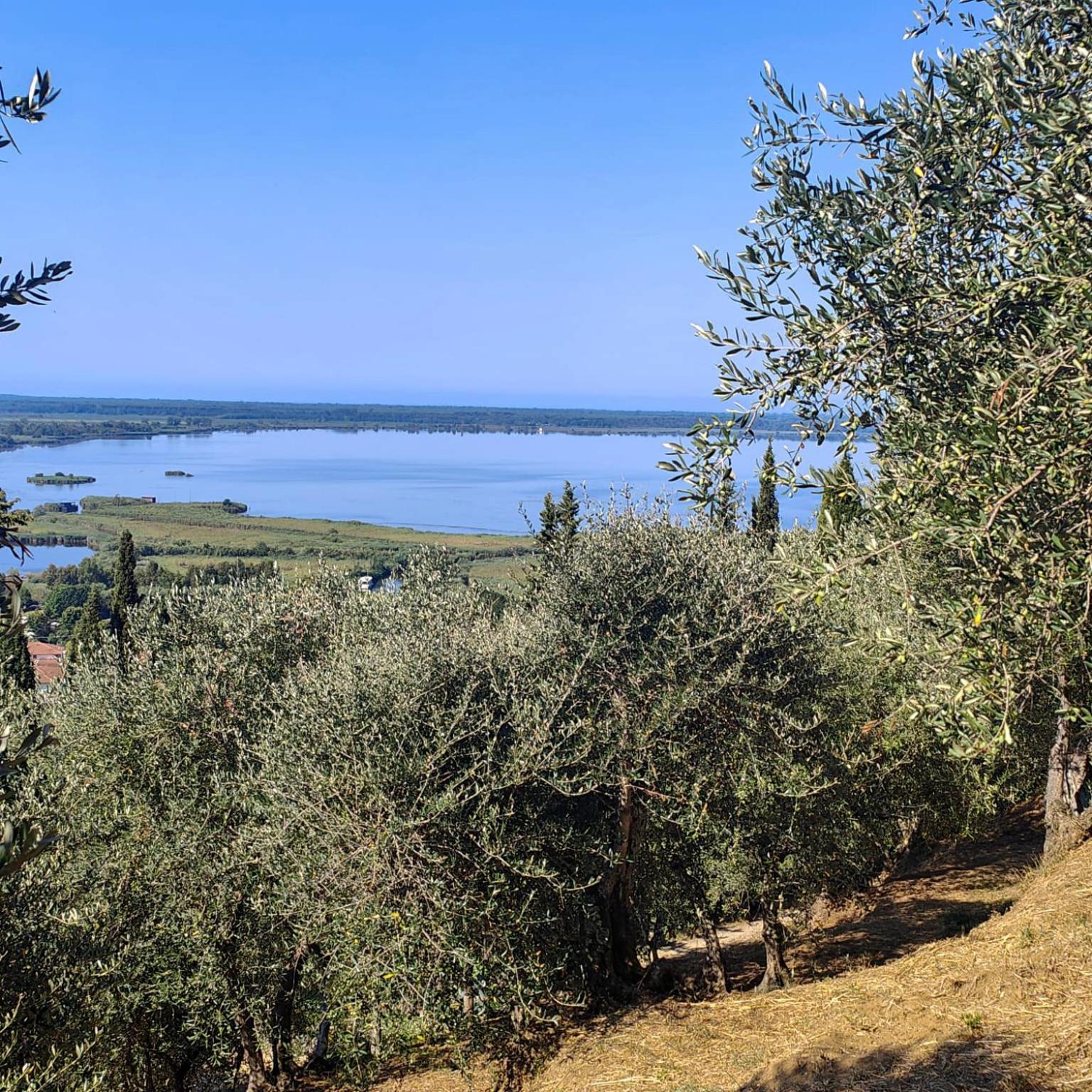Massaciuccoli Romana ภายนอก รูปภาพ
